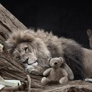 지평선한우명품관 이미지