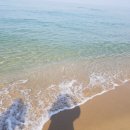 동호해변 이미지