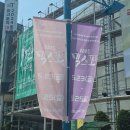 (주)대한구급센터 | 대한민국 막걸리엑스포 양재 aT센터 2025 막스포 다녀온 후기