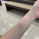 노원연세하나로이비인후과의원 이미지