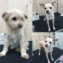 프렌드샾 이미지