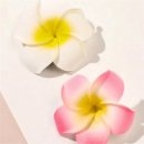 투데이몰 이미지