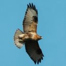 한국동물번식센타 이미지