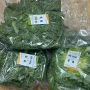 면사랑&비빔밥 | 자기객관화 그리고 현재에 만족하기