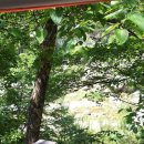 하추자연휴양림 이미지