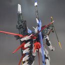 퍼펙트 P.T 이미지