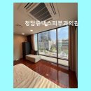 청담쥬넥스피부과의원 네이버블로그