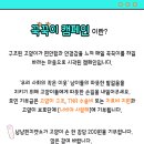 달과고양이 이미지