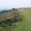 바다목장 이미지