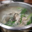 우리바다생태찌개 Daum카페
