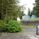 코우코알라 이미지