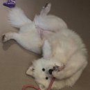 너를닮은케이크 이미지