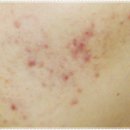 질경이수원 이미지