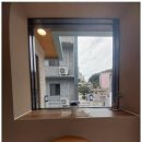 코코 반려견미용실 이미지