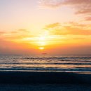 골든루트로 이미지