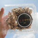 버섯마을.com 전자신문