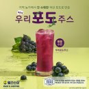 우리다방 - 보은군 | 우리다방