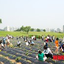 김영욱농장 이미지