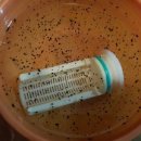 한우리(연수부강) 이미지