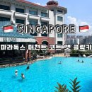 썬PC | 싱가포르 파라독스 호텔 내돈내산 4박 후기ㅣ수영장, 객실, 위치까지 대만족!