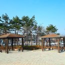 솔올정원 이미지