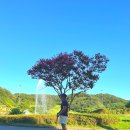 구니구니 | [구니CC] 구니 CC 꿀팁 and 후기