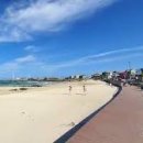 월정리에 이미지