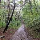 제191차 2025년 12월 정기산행 옥순봉(송년산행) 이미지