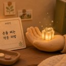 창일아이사랑 네이버블로그