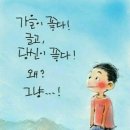 힘내라! 대한 민국! 이미지