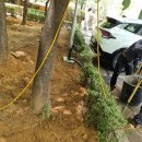 부평 충전소 이미지