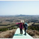 오름이야기 이미지