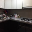 개소리펫샵 이미지