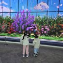 에코리움 | 비 오는 날 밀양 네이처에코리움 다녀온 후기 | 아이들과 실내 가볼만한 곳