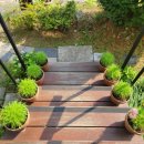 참아름 세탁소 이미지