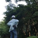 썸베이크 이미지