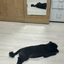 잔다리2길 이미지