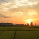 곡교천로 이미지