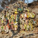 안중농업협동조합포승지점 이미지