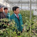 고성군 6 이미지