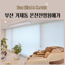 연충 | 부산 거제동 온천천쌍용예가 블라인드 추천 트리플쉐이드 린넨블라인드 암막블라인드