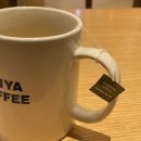 돈카츠마용인역북점 | 3월에 올리는 2월의 끝자락 | 강남 엔트라 호텔 | 라벨르블랑 마리 레이스 드레스 | 꼼데가르송 CDG...