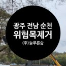 주식회사 푸른나무 이미지