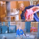 다정한고양이
