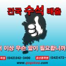 검정고시전문학원-대전검정고시학원-대전고려학원 고려학원 택시 타고 오세요! 이미지