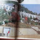 원통초등학교 신덕분교 이미지