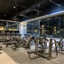 마블짐휘트니스 이미지