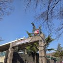 부천시어린이교통나라 | 부천 봄꽃여행 원미산 진달래동산 만개 놉! 근방 즐길거리 3곳 맛집 카페 추천