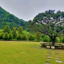 고산무궁화오토캠핑장 이미지