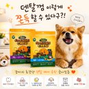 하나로덴탈 | 강아지 덴탈껌 구취 및 치석 관리, 브리젠 굿나잇츄 리뷰 ft.한고연몰